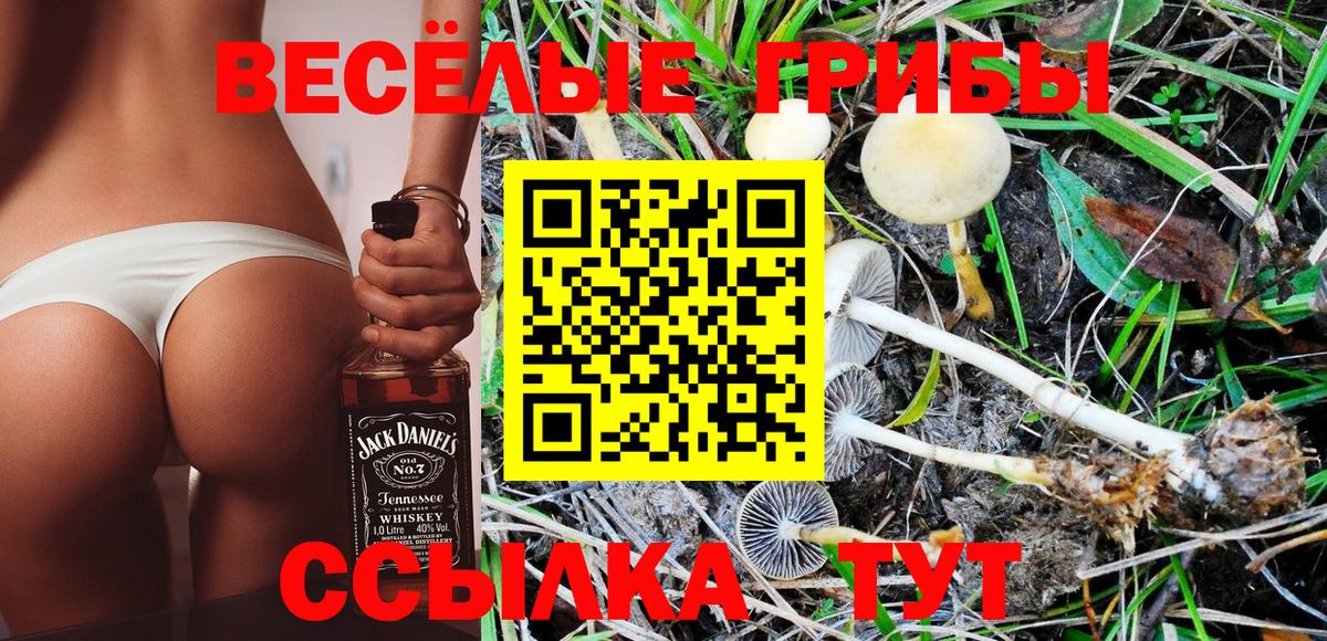 Галлюциногенные грибы Psilocybe  Вход с VPN  Верхняя Салда  как найти   Псилоцибиновые грибы GOLDEN TEACHER 