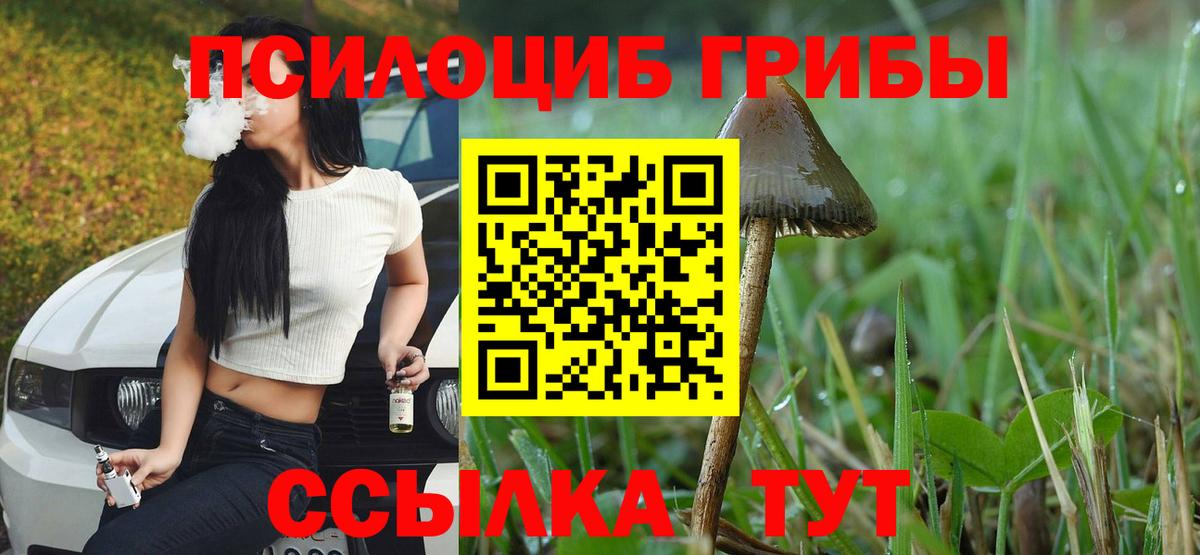 Галлюциногенные грибы прущие грибы Верхняя Салда